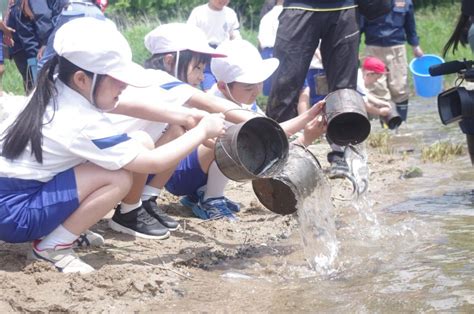 「元気に育って」 小学生が稚アユを放流 小さな命とふれあい／岡山・津山市│津山朝日新聞社