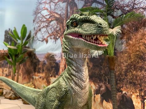 Life Size Realistic Velociraptor Animatronic Dinosaur For Amusement