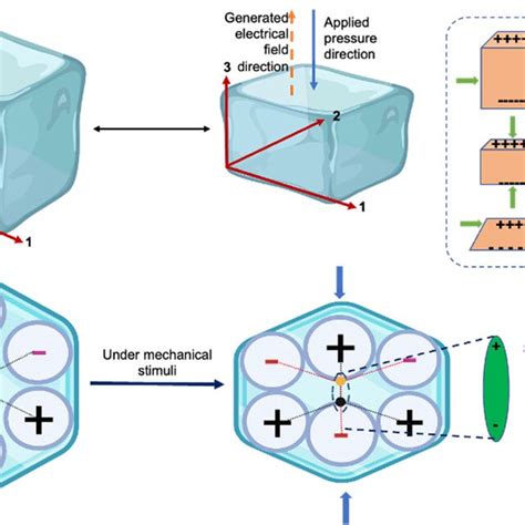 Fundamentals Of The Piezoelectric Effect A The Direction Of The