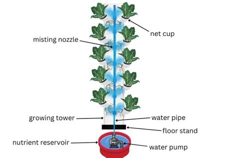 What Is An Aeroponic Tower And How Does It Work