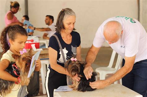 Prefeitura Municipal de Matias Barbosa Vacinação canina polivalente