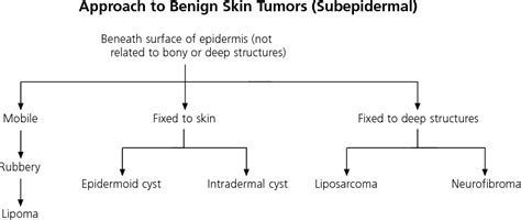 Figure 2 from Common benign skin tumors. | Semantic Scholar