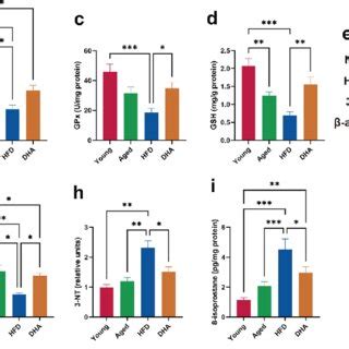 DHA Improves HFD Induced Amyloid Formation And Tau Phosphorylation In