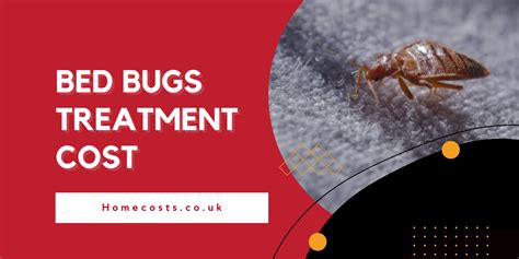 Bed Bugs Treatment Cost And Prices 2024 Uk