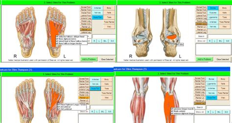 Best Podiatry EMR/EHR Software 2023 | Free Demo, Reviews, & Ratings | EMRSystems