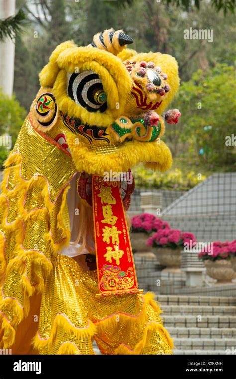 Chinese Dragon Dance Costume Clearance | library.ecosystem.build