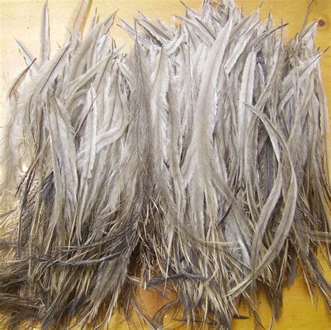 Emu Feathers Natural Long Bulk By Karenrichards On Etsy