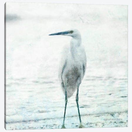 Coastal Heron Canvas Print by Bluebird Barn | iCanvas