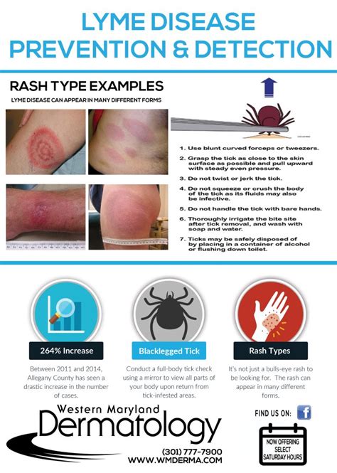 Lyme Disease Western Maryland Dermatology