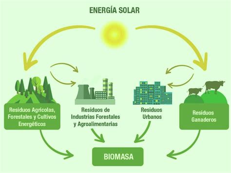 Todo Sobre La Energia De Biomasa Energiasae