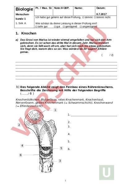 Arbeitsblatt Muskel Und Gelenke Pr Fung Biologie Anatomie