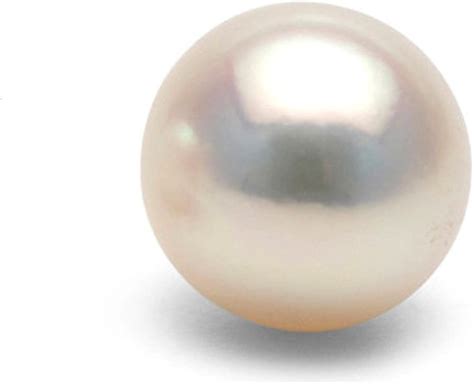 Amazon Single Cultured White Japanese Saltwater Akoya Loose Pearl