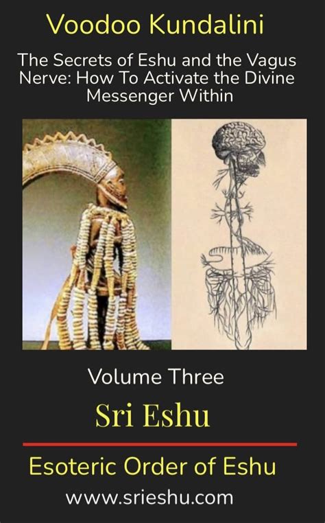 Voodoo Kundalini The Secrets Of Eshu And The Vagus Nerve How To