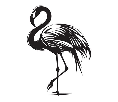 Flamingo Silhouettes Flamingo Black And White Flamingo Vector