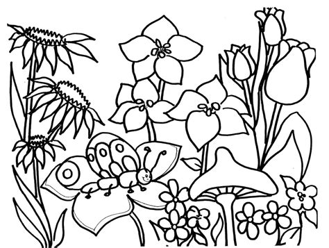 Coloriages Saison Printemps Nature Dessins à colorier Coloriages