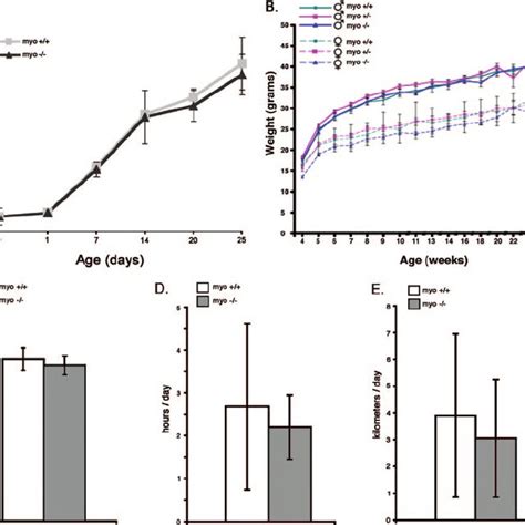 Growth Curves Grip Strength Measurements And Endurance Of Myo ϩ ϩ