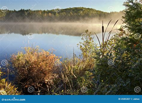 Early Morning Hdr Lake Scene Stock Image Image Of Glassy Grass 4585307