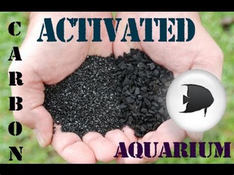 Aquarium Activated Carbon Youtube