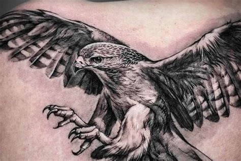 Top 45 adelaar tatoeage Ideeën Betekenis VeAn Tattoo