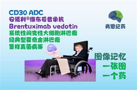 记住所有fda生物药 靶向cd30 Adc 安适利®维布妥昔单抗 间变性大细胞淋巴瘤、霍奇金淋巴瘤、蕈样真菌病等 知乎