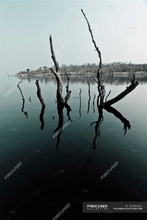 Lake Kariba Stock Photos Royalty Free Images Focused