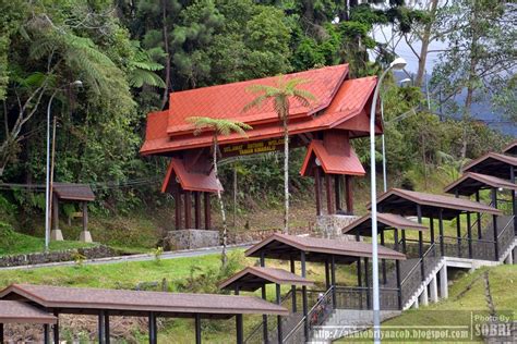 keistimewaan taman negara kinabalu - Harry Nolan