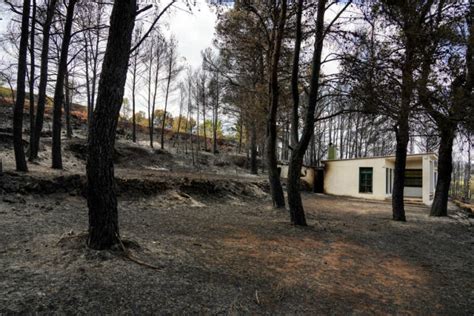 El incendio de Bejís continúa con una evolución positiva y el perímetro