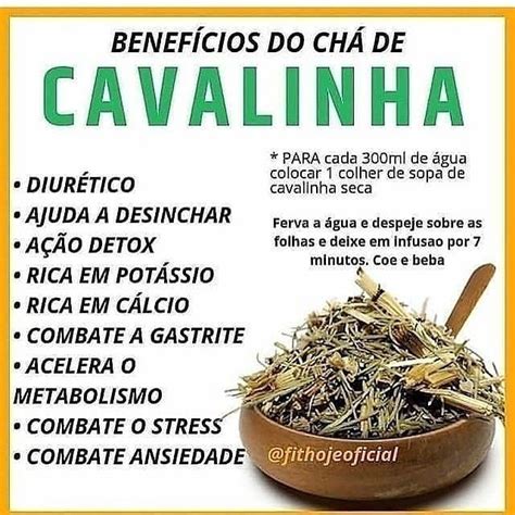 Benef Cios Do Ch De Cavalinha Em Ch De Cavalinha Ch S