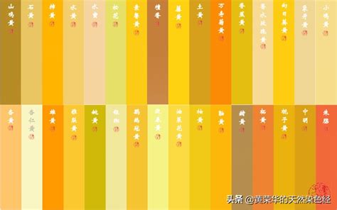 黄色的种类有多少中国传统黄色色谱96色，首次完整公开 说明书网