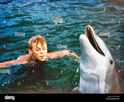 Flipper Movie Hi Res Stock Photography And Images Alamy