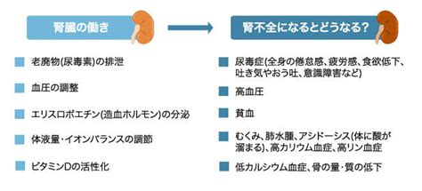 よくわかる基礎知識｜腎代替療法とは（透析、腎移植） 家族と考える慢性腎臓病サイト 腎援隊