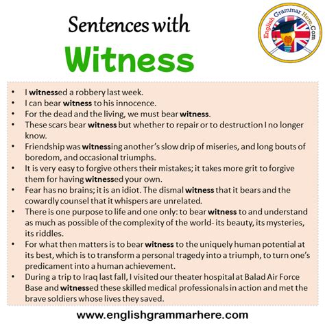 Sentences With Witness Witness In A Sentence In English Sentences For