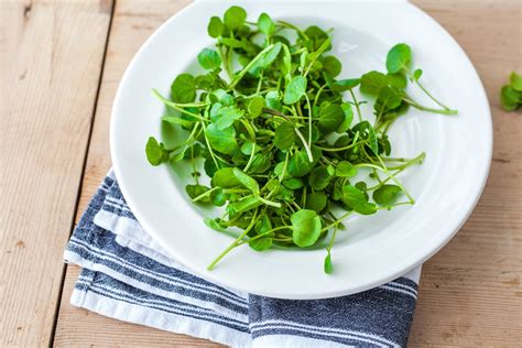 What Part Of Watercress Can You Eat — Watercress Health Recipes And More