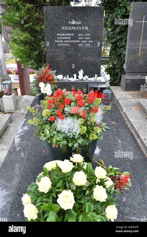 Grab Von Peter Alexander Auf Dem Friedhof Grinzing Wien Sterreich