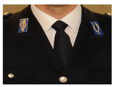 Tirocinio Formativo Per Gli Allievi Vice Ispettori Di Polizia