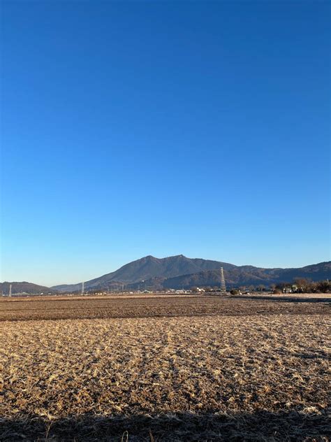 おはようございます。今朝の気温はマイナス 茨城県つくば市 フッコンp ウェザーニュース