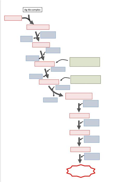 Solved Assignment 1: Complete the complement pathway as | Chegg.com