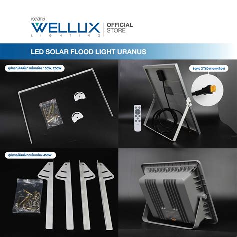 Wellux W W W Led Solar Flood Light