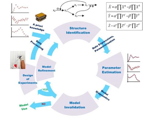 Introduction To Mathematical Modelling Last Part Bioinformatics Review