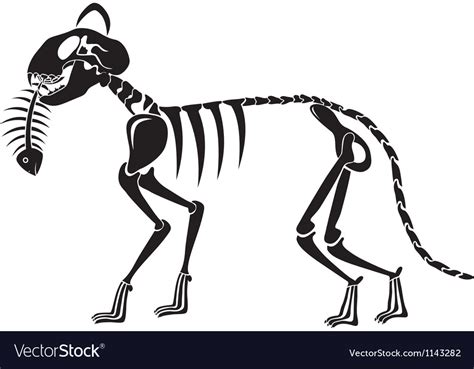 Cat Skeleton Caught A Fish Skeleton Royalty Free Vector