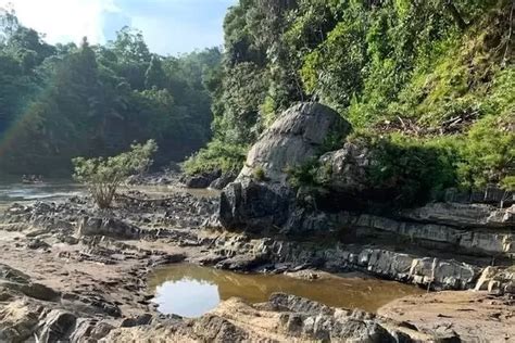 Merawat Hutan Adat Merangin Hasilnya Best Practice Award Anugerah