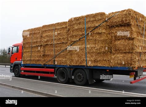 Acarreo De Heno Fotograf As E Im Genes De Alta Resoluci N Alamy