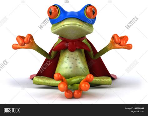 Frog Doing Yoga Image & Photo | Bigstock