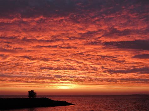 Kats Door Geeske Harkema Kats Vurige Zonsopkomst Aan De O Flickr