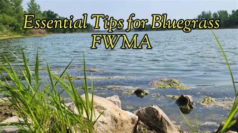 Essential Tips For Visiting Bluegrass Fish Wildlife Management Area