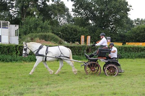 Conseil Des Chevaux Hauts De France Formation Attelage Anim E Par