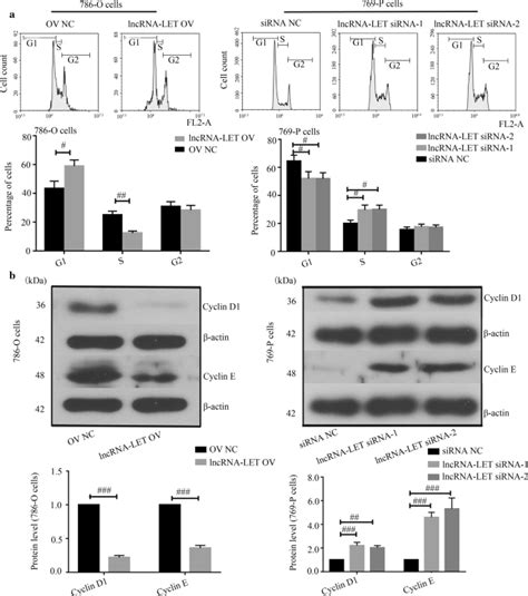 Lncrna Let Inhibits Cell Growth Of Clear Cell Renal Cell Carcinoma By