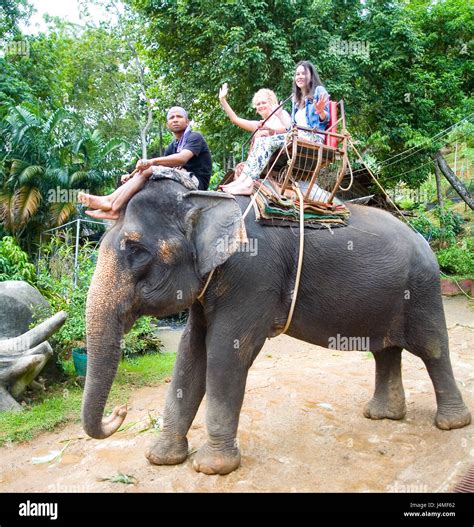 Thailand elephant ride hi-res stock photography and images - Alamy