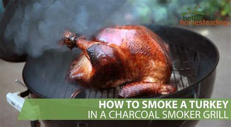 How To Smoke A Turkey In A Charcoal Smoker Grill A Beginner S Guide