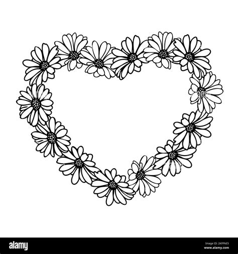 Valentines Day Floral Heart Frame With Daisy Flower Stock Vector Image